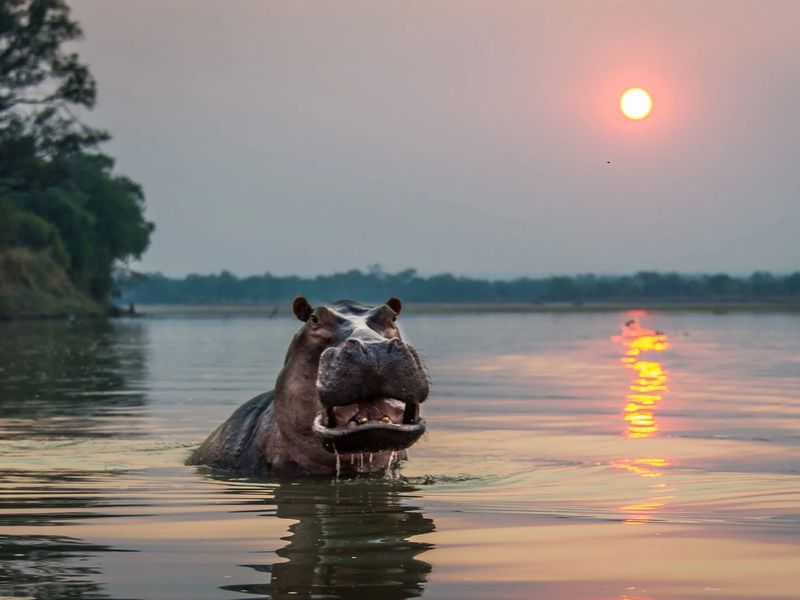 5 Days Lower Zambezi National Park Package