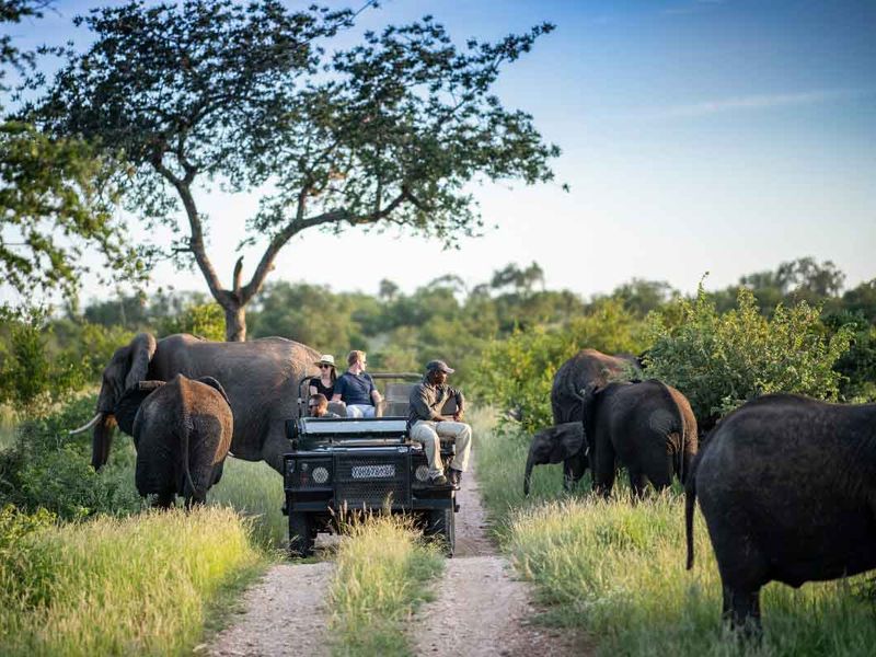 Game Drives